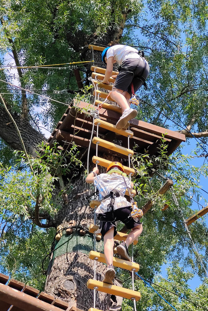 Image hover effect image