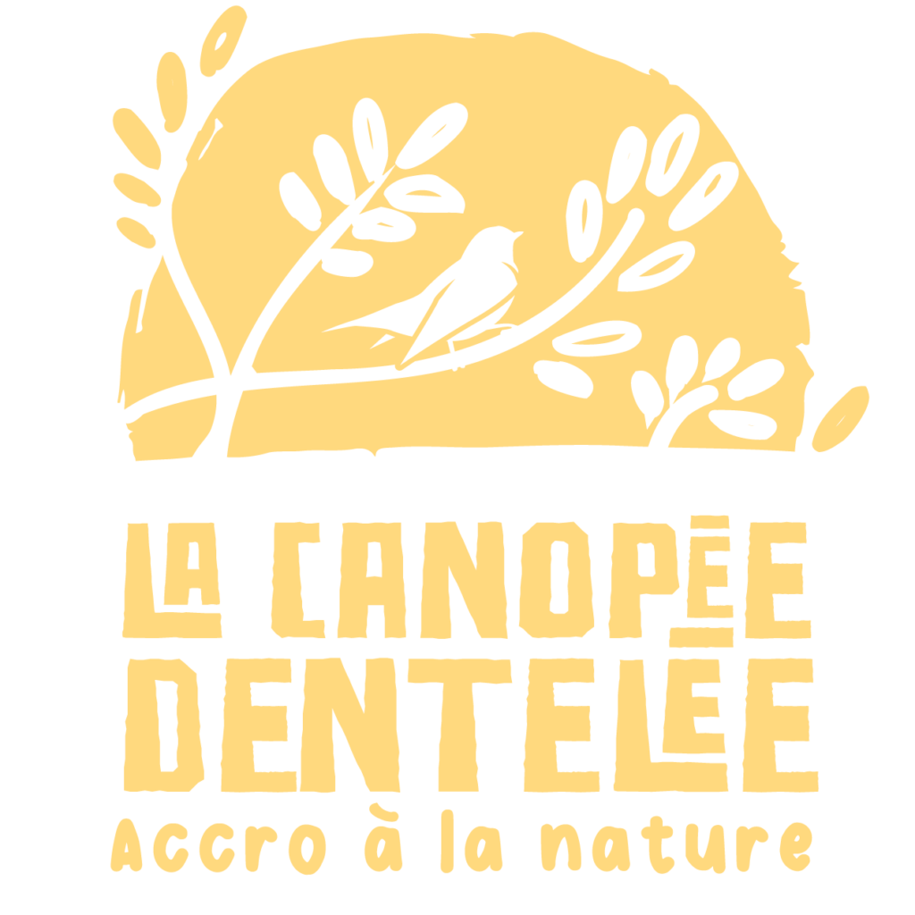 LA CANOPÉE DENTELÉE logo