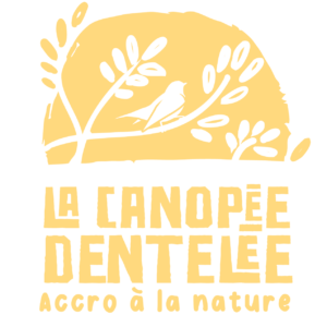 LA CANOPÉE DENTELÉE logo
