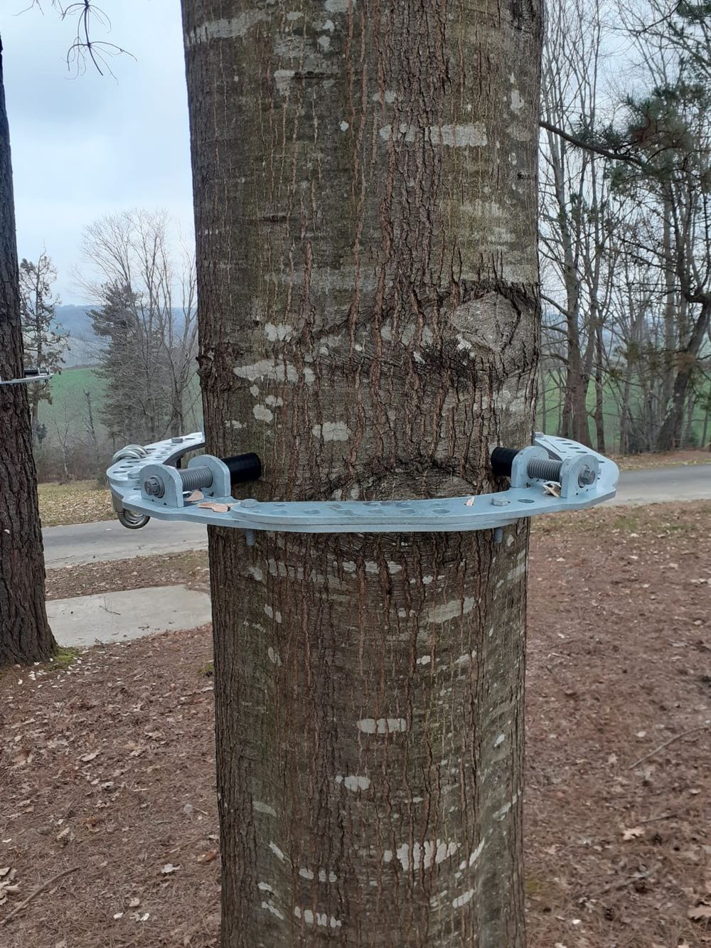 altibranche-1-19