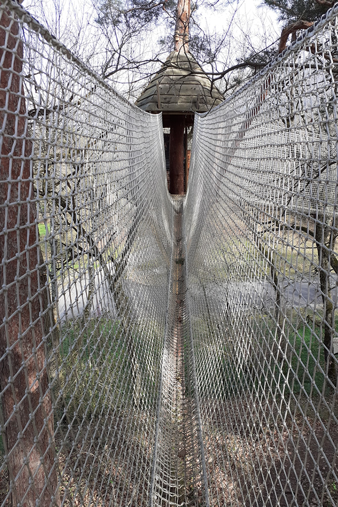 Image hover effect image